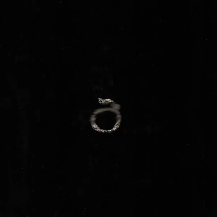 Belenggu 09 Ring SIlver - Image 2