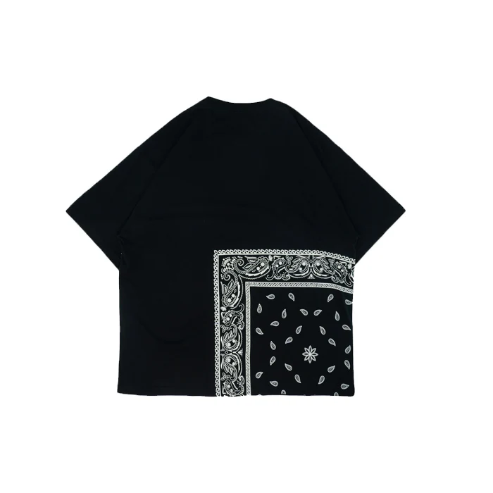 Big Paisley