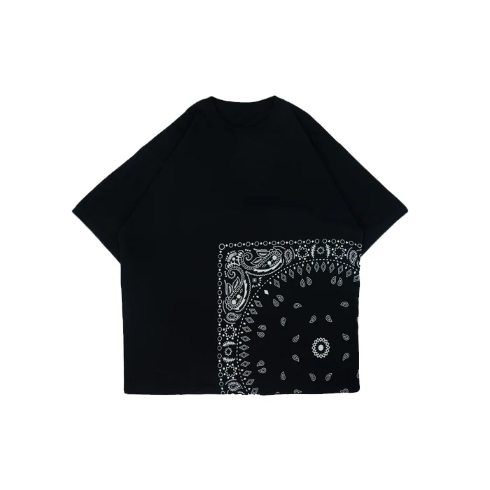 Big Paisley - Image 2