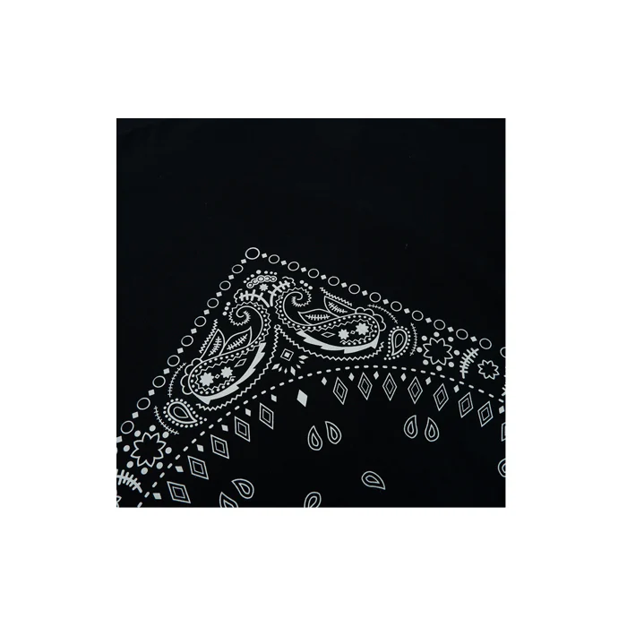 Big Paisley - Image 3