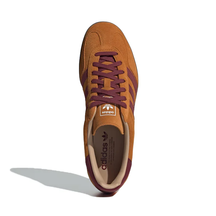 GAZELLE INDOOR - Image 5