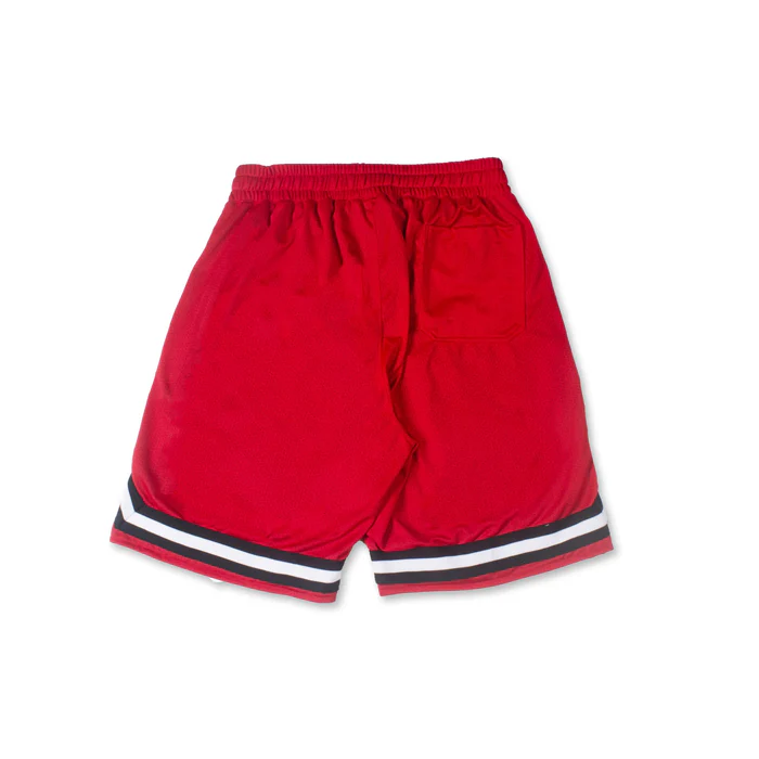 Logo Mesh Shorts Red - Image 2