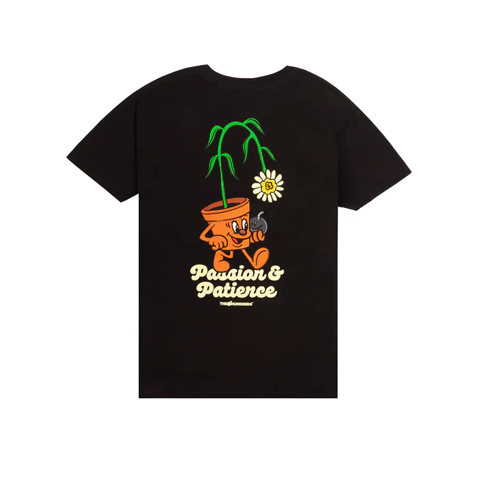Passion & Pateince T-Shirt - Image 2