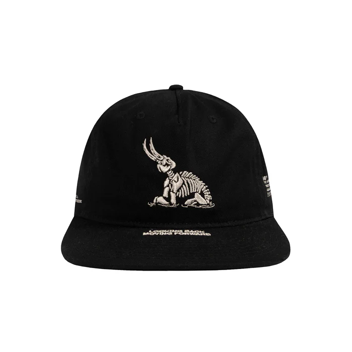 Rich Dad Hat