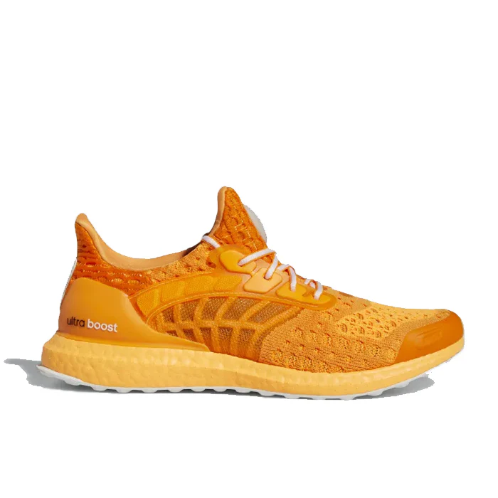 ULTRABOOST CC_2 DNA
